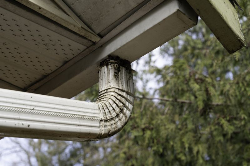 Eavestrough Clearing in Morris County, NJ