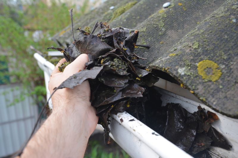 Gutter Leaf Clearing in Monmouth County, NJ