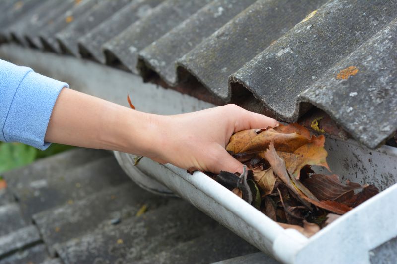 Gutter Leaf Clearing in Rochester, NY