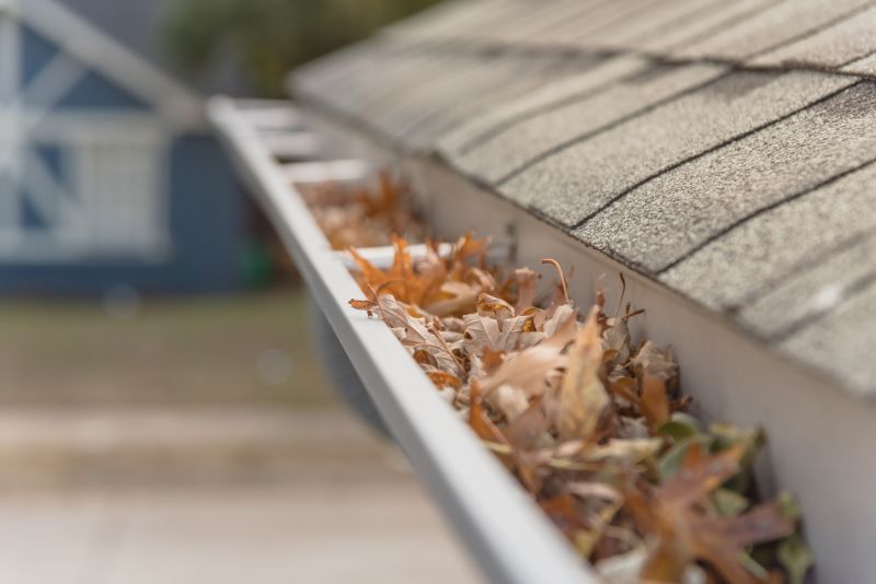 Gutter Leaves Removal in Fredericksburg, VA
