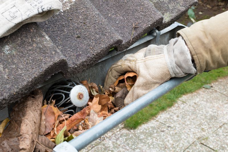 Gutter Leaves Removal in Arvada, CO