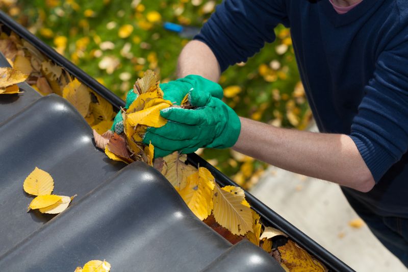 Gutter Leaves Removal in Longmont, CO