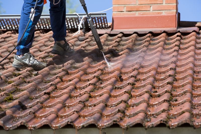 Roof Cleaning