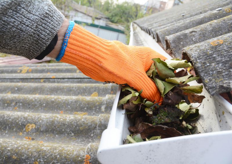 Roof Gutter Cleaning in Fredericksburg, VA