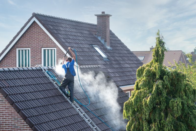 Roof Power Washing Service