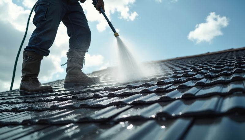 Roof Power Washing Service